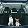 Trixie Autóba biztonsági rács - állatfelszerelés